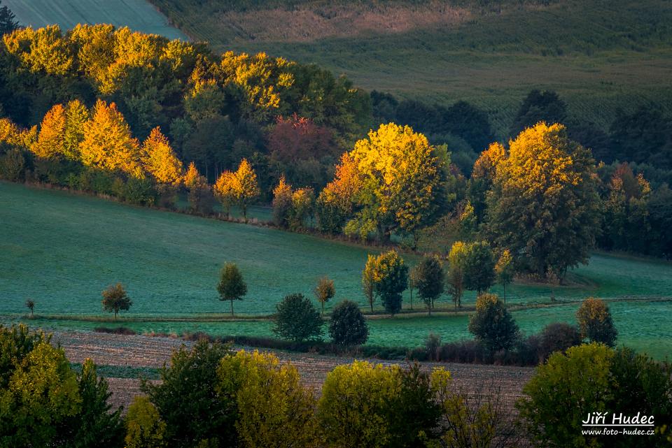 Barvy podzimu u Pohledce