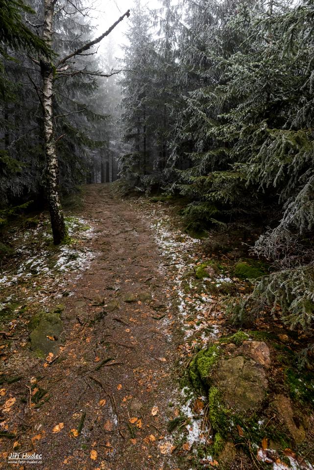 Cesta zmrzlým lesem 1