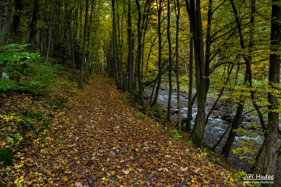 Cestou Šilinkovým dolem