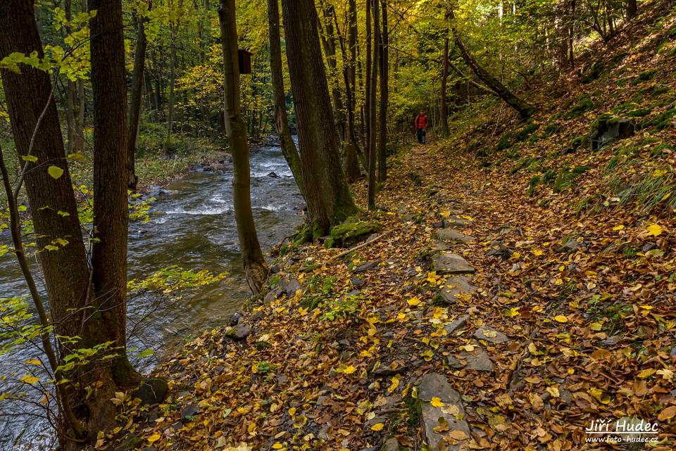 Cestou Šilinkovým dolem 3