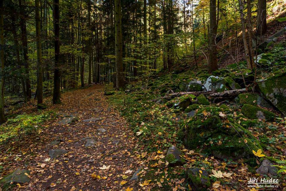 Cestou Šilinkovým dolem 4