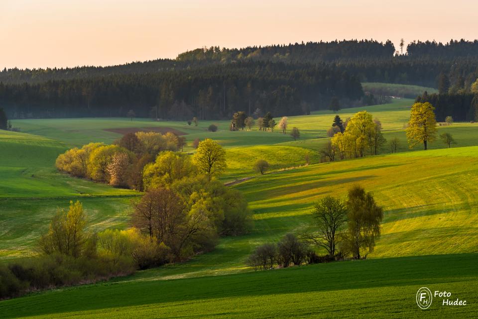 Jarní údolí Líseckého potoka