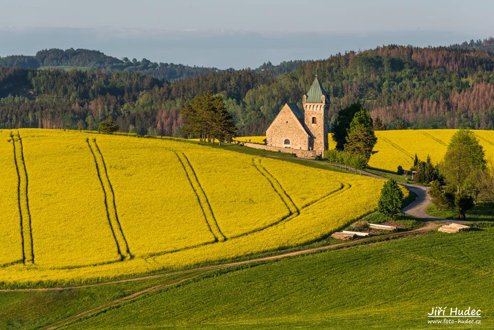 Jarní Vítochovský kostelík a řepkové pole