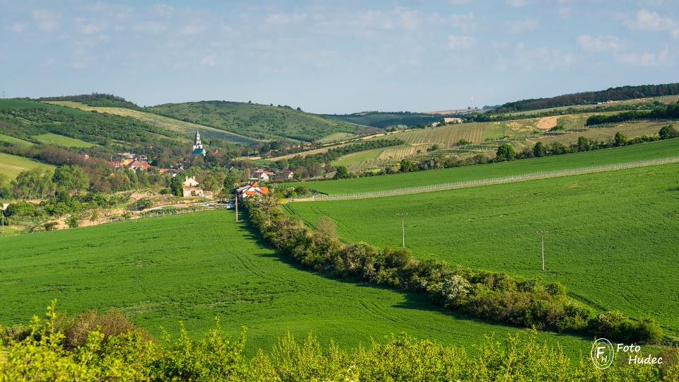 Jaro u Kurdějova