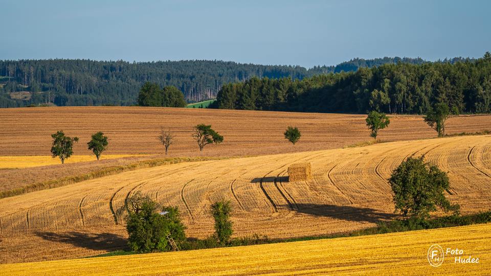 Krajina po žních s posedem