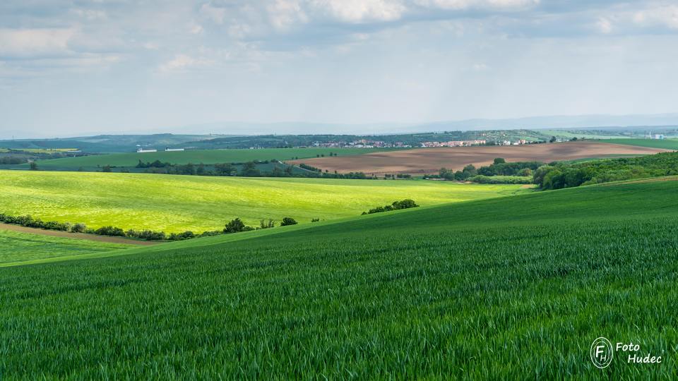 Kyjovské lány