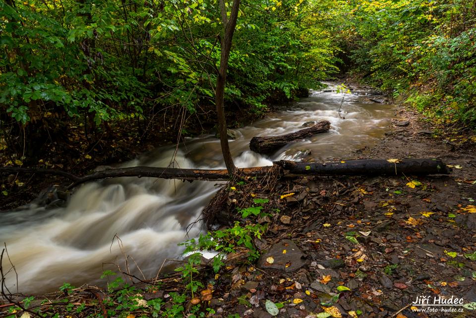 Lovětínská rokle - cesta korytem Lovětínského potoka