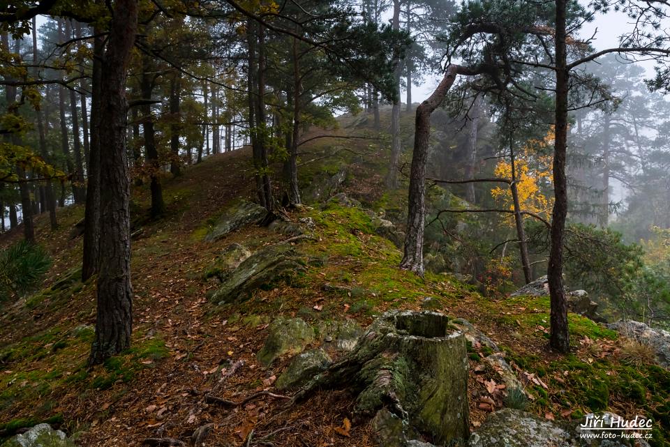 Mlhavé ráno na Kozlovských skalách 1