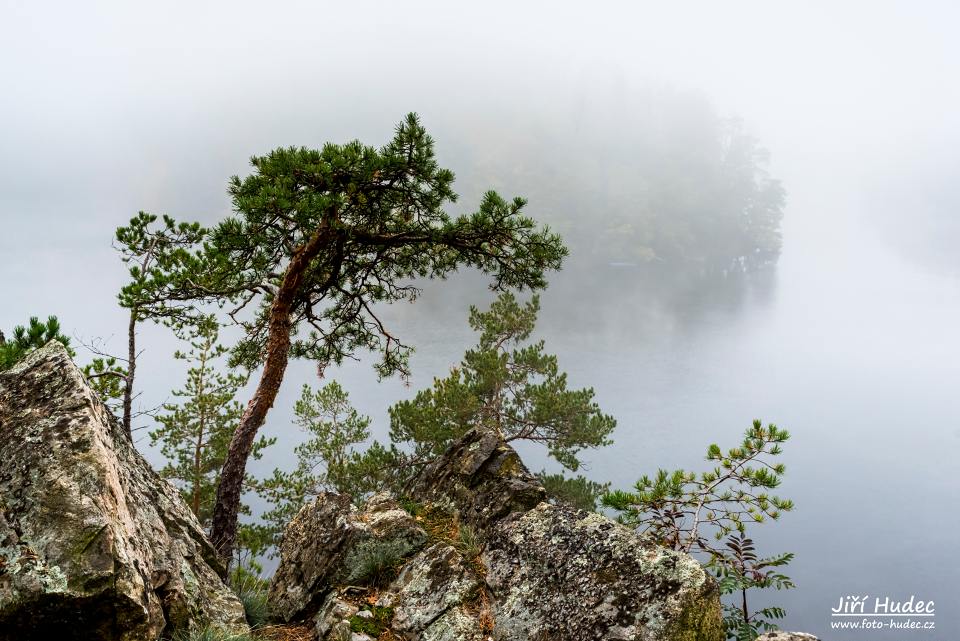 Mlhavé ráno na Kozlovských skalách 6