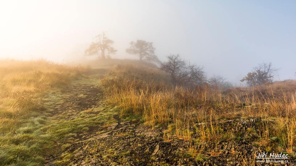 Mlhavé ráno nad Mohelenskou hadcovou stepí