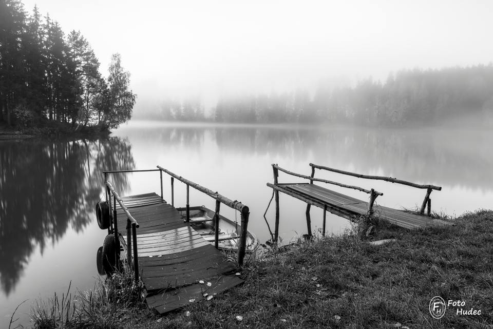 Opuštěná mola černobílá - Domanínský rybník