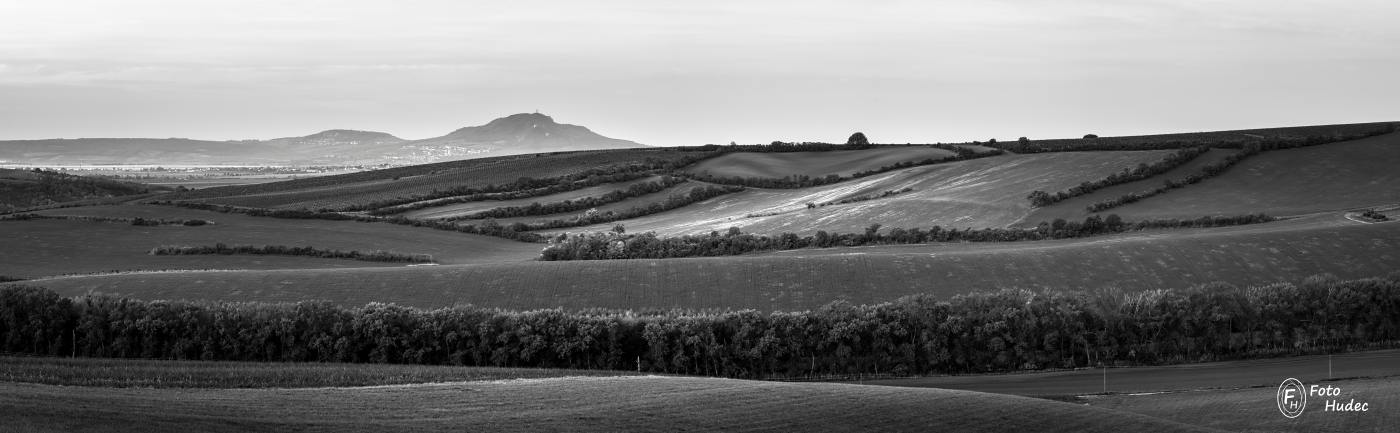 Pálava panoramatická s remízky černobílá