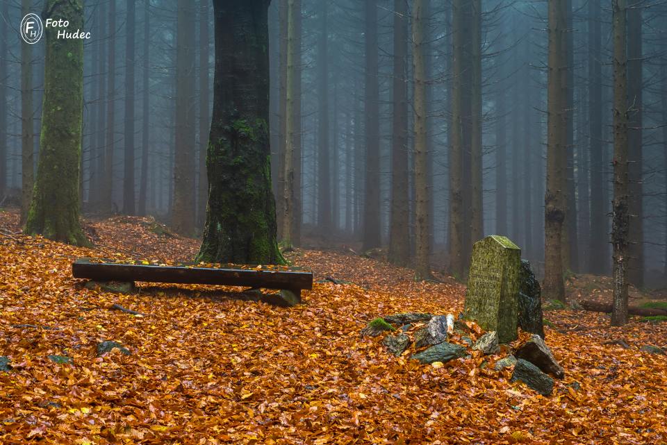 Památník zastřelení posledního vlka na Vysočině 1