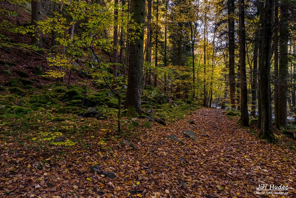 Podzimní cesta Šilinkovým dolem