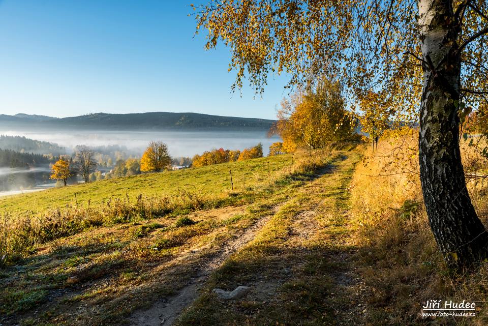 Podzimní mlhavé ráno na Českých Křižánkách