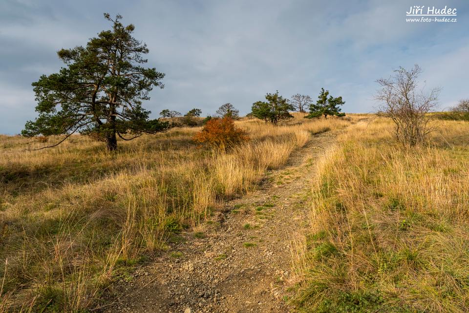 Podzimní Mohelenská hadcová step