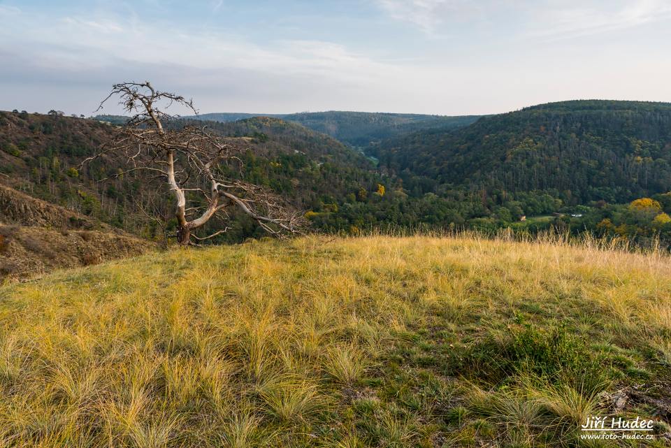 Podzimní Mohelenská hadcová step 3