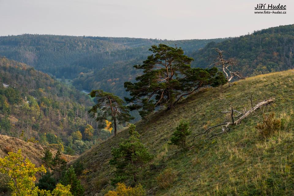 Podzimní Mohelenská hadcová step 6