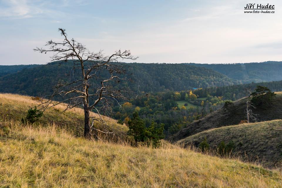 Podzimní Mohelenská hadcová step 7