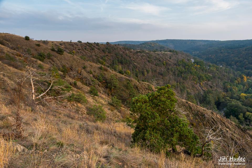 Podzimní Mohelenská hadcová step 8