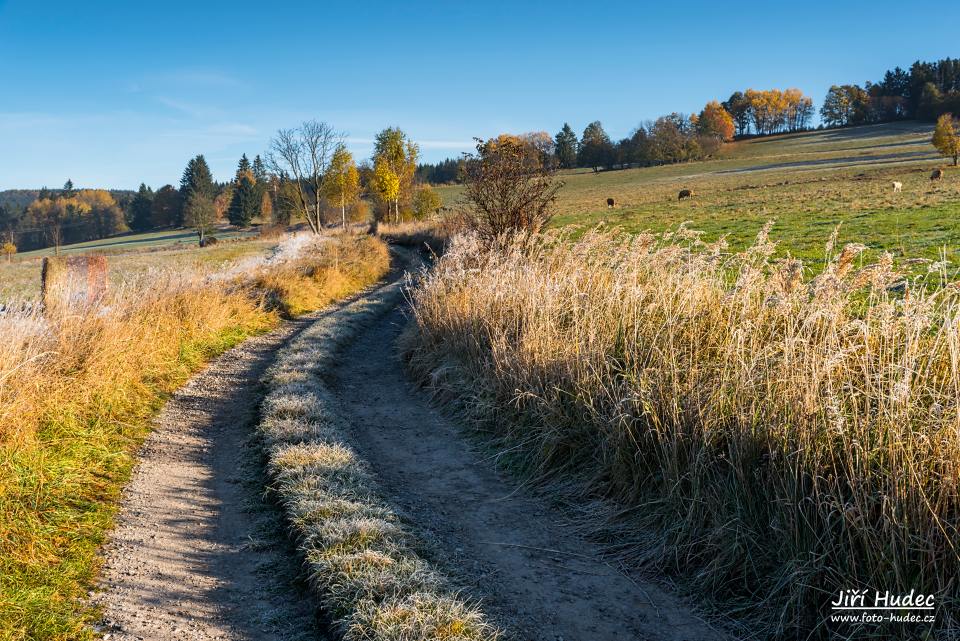 Podzimní mrazivou cestou