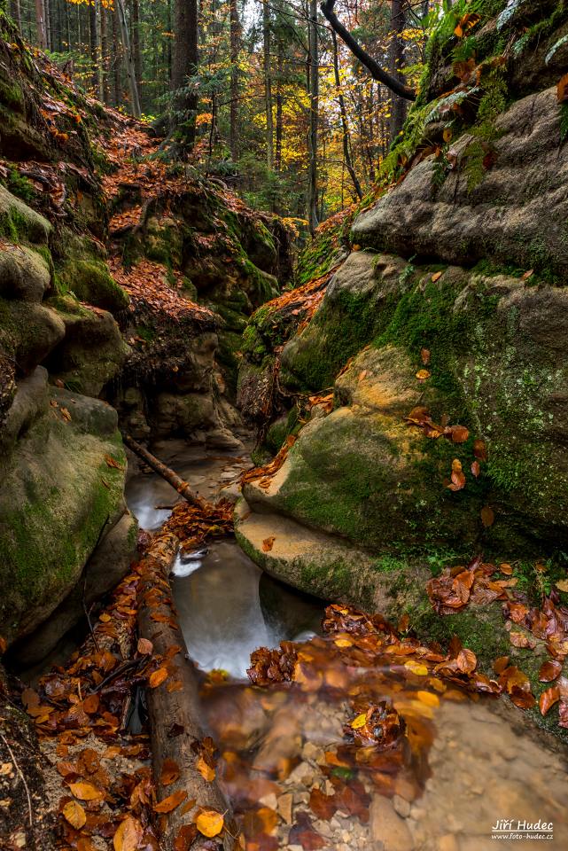 Podzimní Pivnická rokle 2