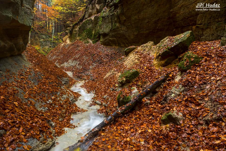 Podzimní Pivnická rokle 3