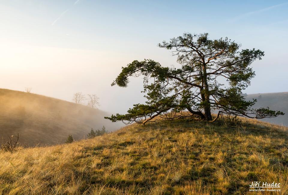 Podzimní ráno na Mohelenské hadcové stepi 1