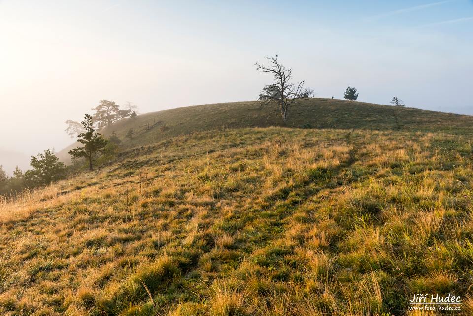 Podzimní ráno na Mohelenské hadcové stepi