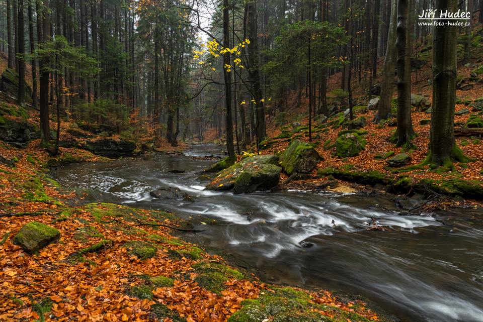 Podzimní údolí řeky Doubravy 5