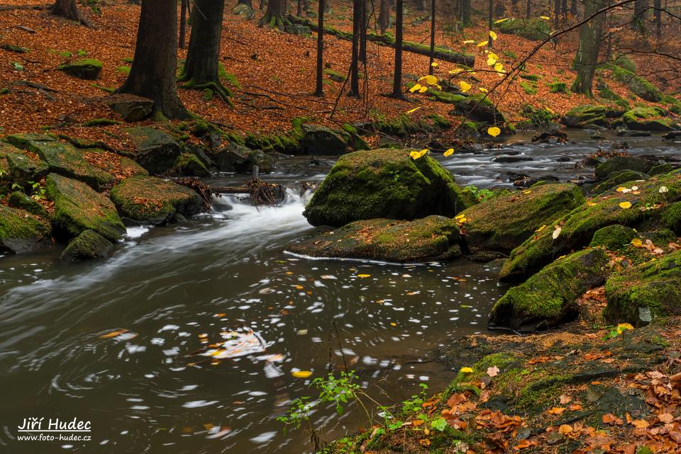 Podzimní údolí řeky Doubravy 6