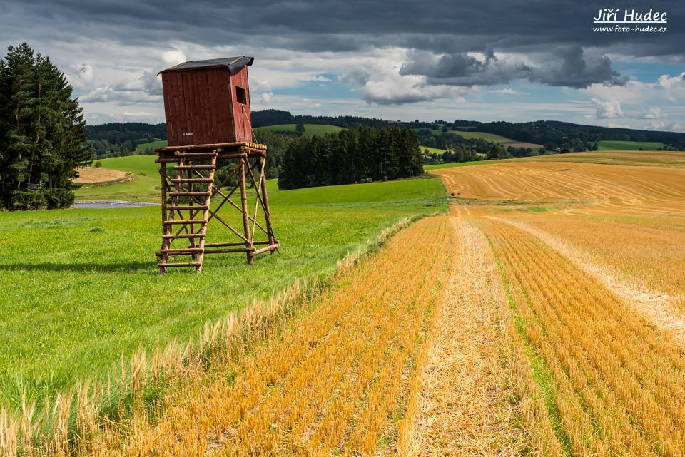 Posed v poli nad Kuklíkem