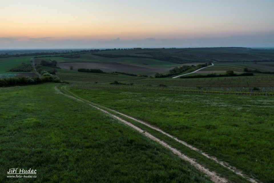 Ranní cesta vinicemi