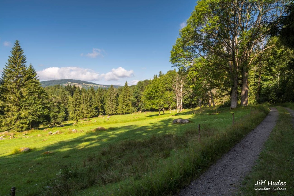 Šumava - Světlohorská cesta