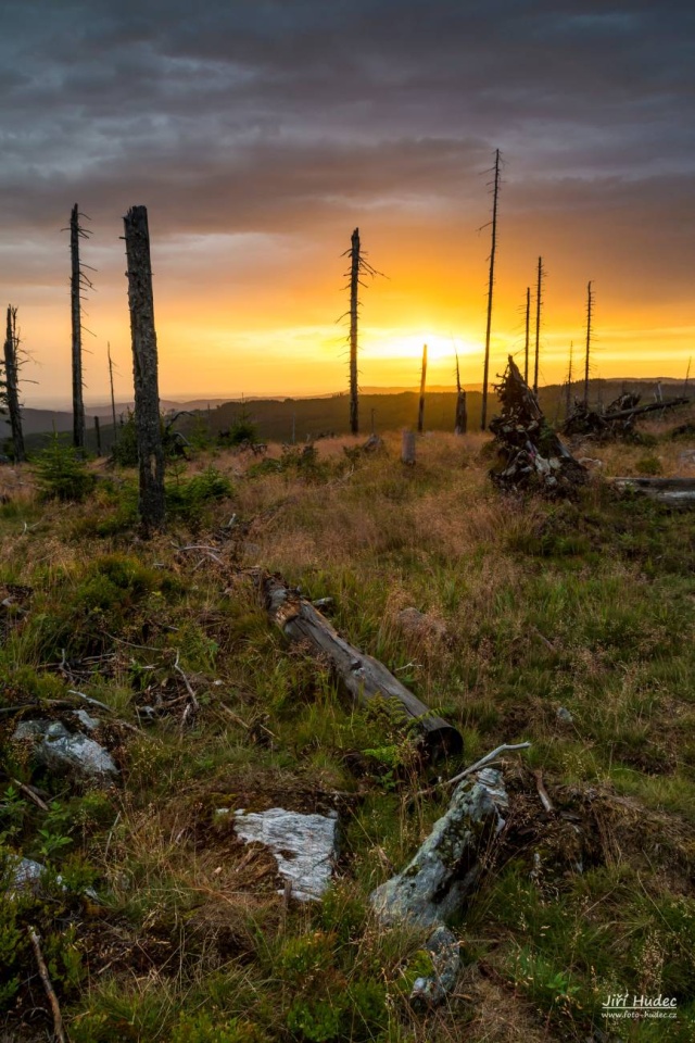 Šumava - východ slunce na Poledníku