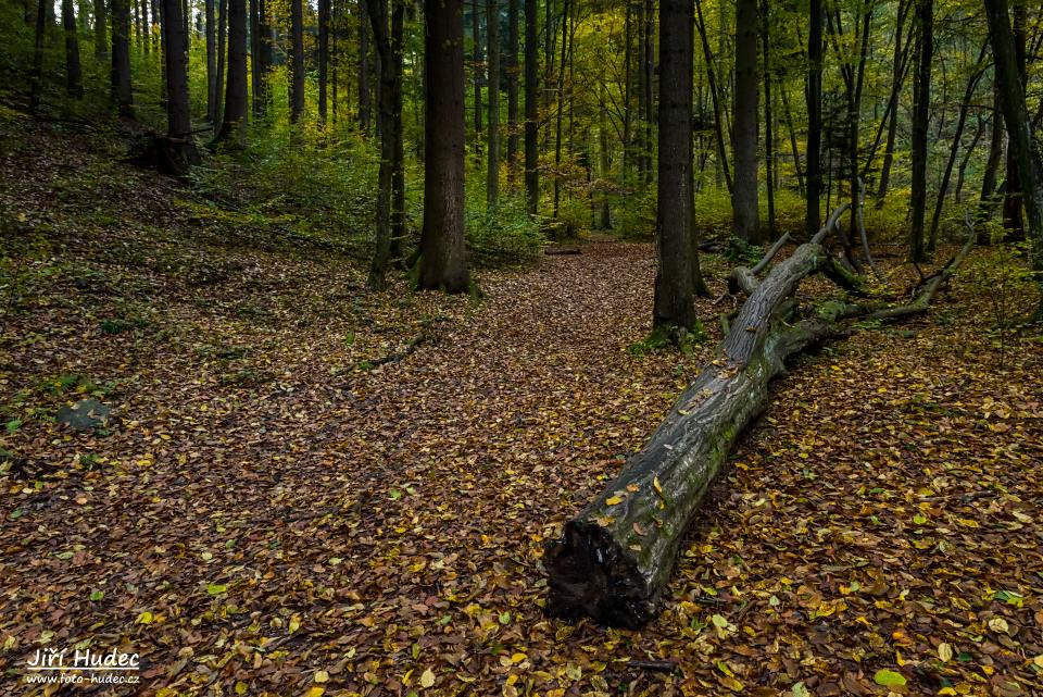Torzo v Šilinkově dole
