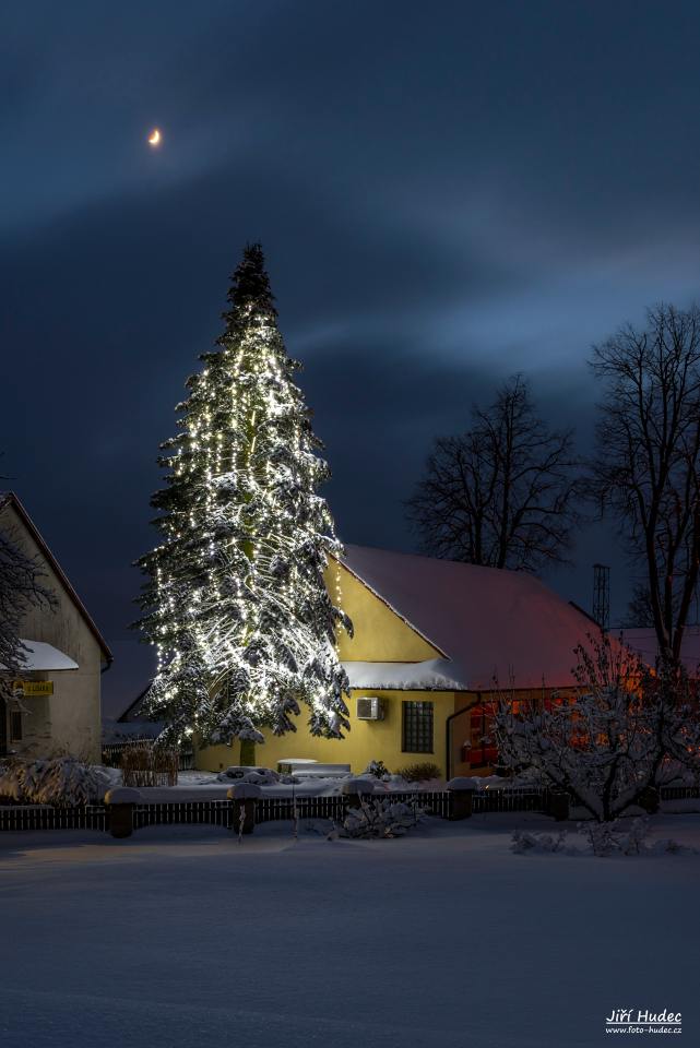 Vánoční strom v Lísku