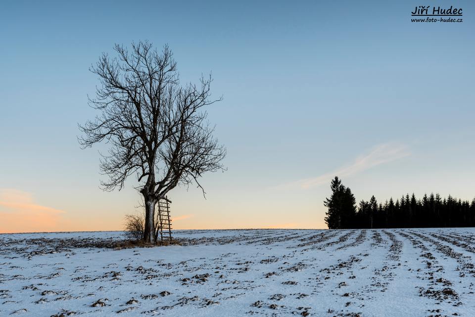 Večerní posed