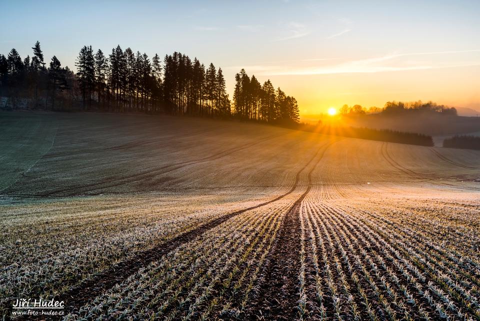 Východ slunce z osetého pole 2