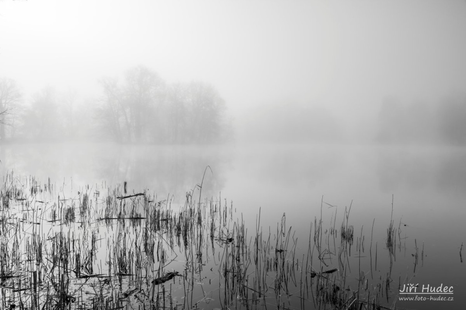 Zámecký park Lednice - na břehu v rákosí