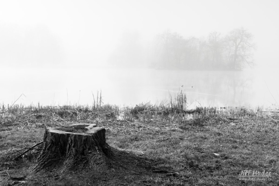 Zámecký park Lednice - u pařezu