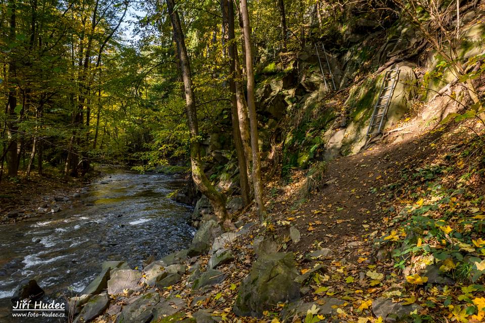 Žebříky v Šilinkově dole