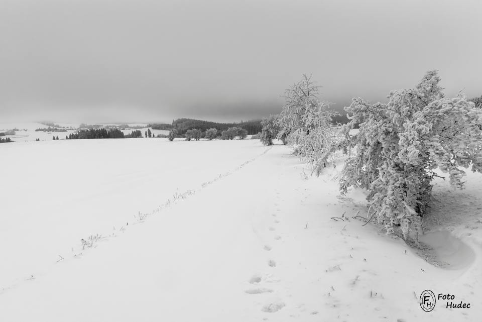 Zimní krajina Bystřicka