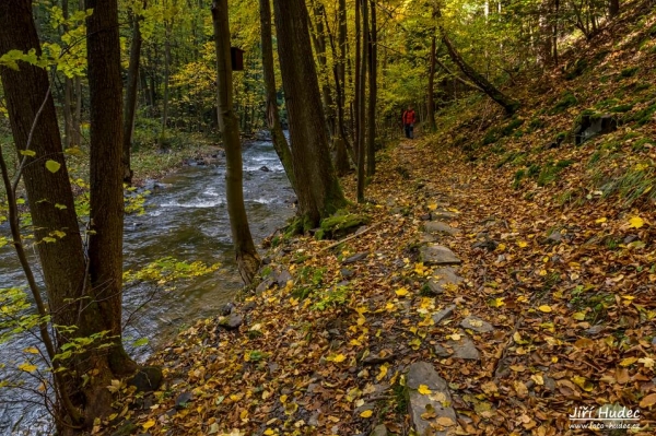 Cestou Šilinkovým dolem 3