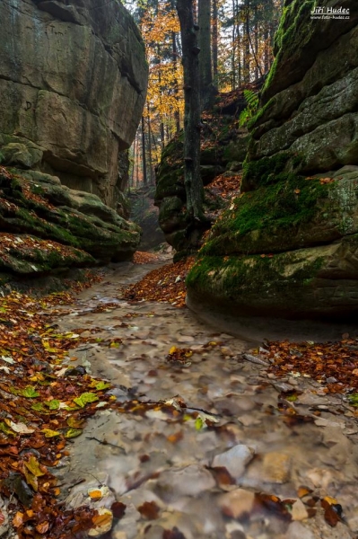 Dno Pivnické rokle 1