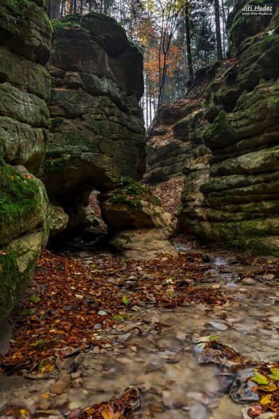 Dno Pivnické rokle 2