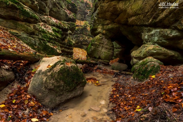 Dno Pivnické rokle 3