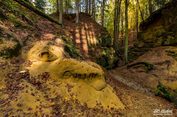 Hlava ještěra v Pivnici