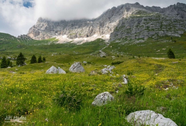 Horská louka pod Jof di Montasio