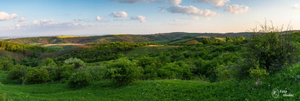 Jarní panorama z Kamenného vrchu